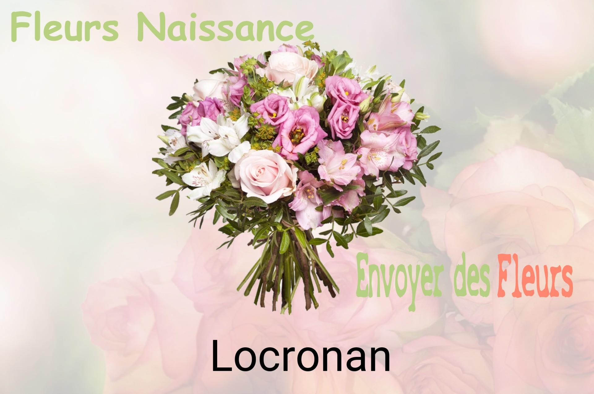 Bouquet de fleurs de naissance livré à Locronan